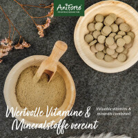 AniForte MultiVETAL Pulver 100g