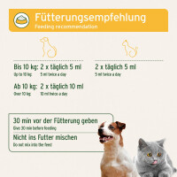 AniForte Ulmenrinde Pulver Hund & Katze 100 g - 100 % Ro