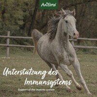 AniForte Ägyptische Schwarzkümmelsamen 1 kg