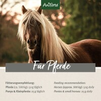 AniForte Indische Flohsamen 3 kg