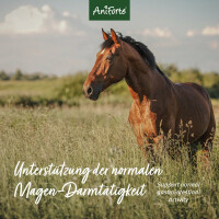 AniForte Indische Flohsamen 3 kg