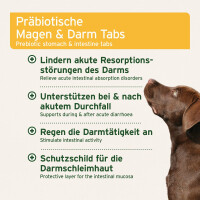 AniForte Plus Magen-Darm für Hunde – Natürli