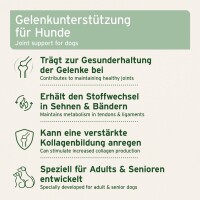 AniForte AgilityVET Gelenktabletten | versch. Größen
