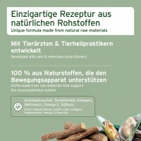 AniForte AgilityVET Gelenktabletten | versch. Größen