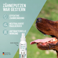REAVET Denta Vital Spray für Hunde –...