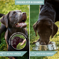 REAVET Denta Vital Spray für Hunde – Zahnpflege 120 ml