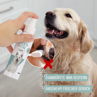 REAVET Denta Vital Spray für Hunde – Zahnpflege 120 ml