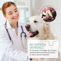 REAVET Denta Vital Spray für Hunde – Zahnpflege 120 ml