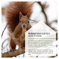 Eichhörnchen-Futterhaus XL mit Metalldach 6