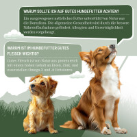 Hundenassfutter - Huhn mit Kartoffelns an Möhren & 