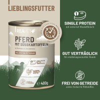 Hundenassfutter - Pferd mit Süßkartoffeln an Past