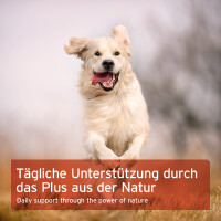 AniForte Hagebutten Pulver  | versch. Größen