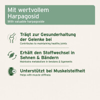 AniForte Afrikanische Teufelskralle | versch. Größen