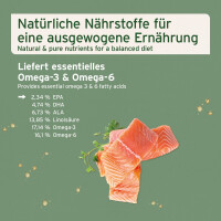 AniForte Lachsöl Kapseln | versch. Größen