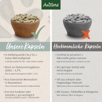 AniForte Grünlippmuschel Kapseln | versch. Größen