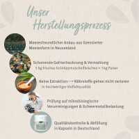 AniForte Grünlippmuschel Kapseln | versch. Größen