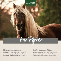 AniForte Flohsamenschalen | versch. Größen