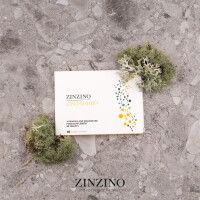 Second Zinzino ZinoShine+ - Vitamin D3 &