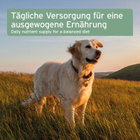 AniForte Bio Hanföl | versch. Größen 7