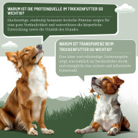 Hundetrockenfutter Hypoconcept Adult – Mit frischem La