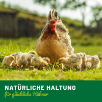 ReaVET Edle Auslese Geflügelfutter – Premium Saat