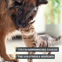 ReaVet Urin-Stopper 500ml – Fernhaltespray gegen Marki