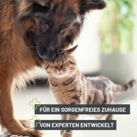 ReaVET Giardien-Stop Spray – Effektive Umgebungshygien