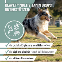 ReaVET Multivitamin Drops &ndash gallery 20_2nd