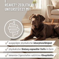 ReaVET Zeolith VET – Natur gallery 10_2nd