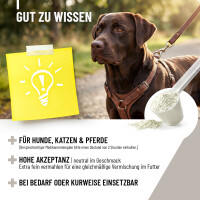 ReaVET Zeolith VET – Naturreines Vulkanmineral fü
